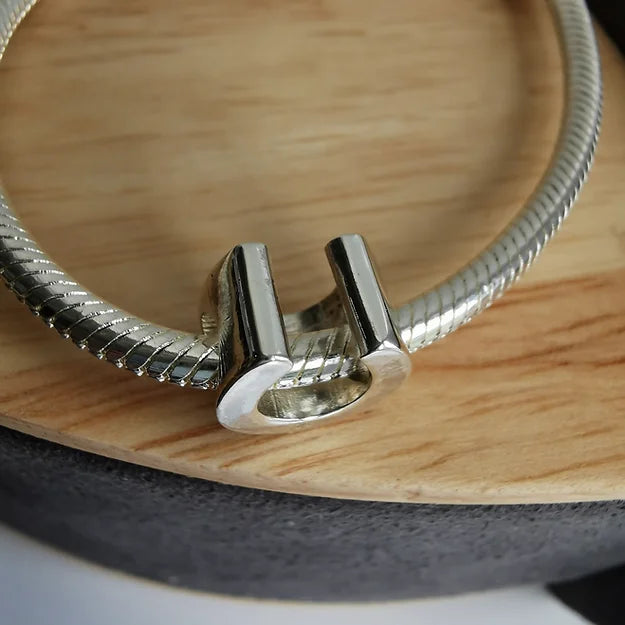 bracelet charm for horse ashes